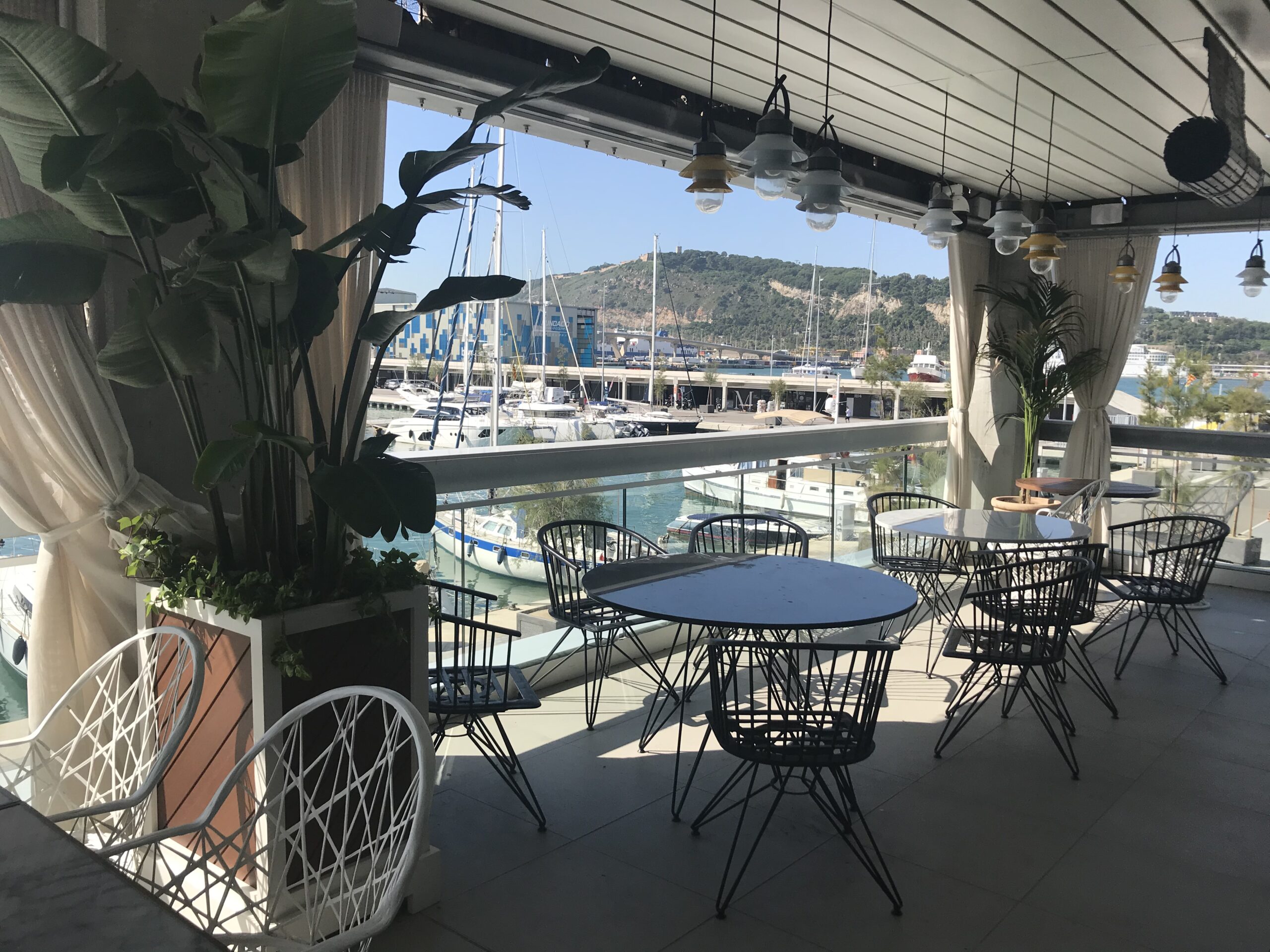 Sunny marina-view terrace with modern black wire chairs and round tables, surrounded by potted plants and sailboats in the background.