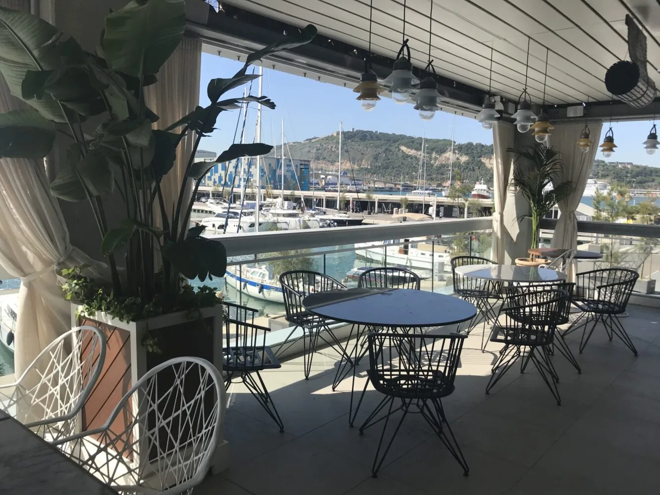 Sunny marina-view terrace with modern black wire chairs and round tables, surrounded by potted plants and sailboats in the background.