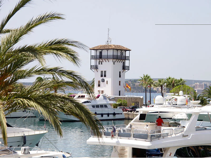 Luxury yachts moored at a 38-meter berth in Puerto Portals, Mallorca, with a white harbor control tower and palm trees in the background.
