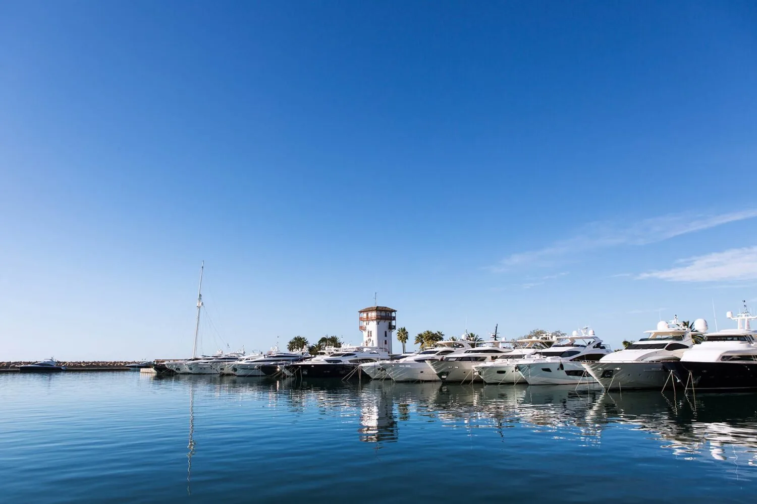 Luxury yachts docked in the calm marina of Puerto Portals under a clear blue sky.