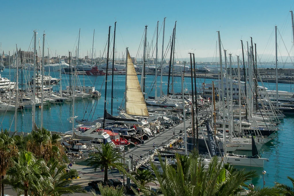 A marina filled with numerous sailboats and yachts docked in clear blue water on a sunny day.