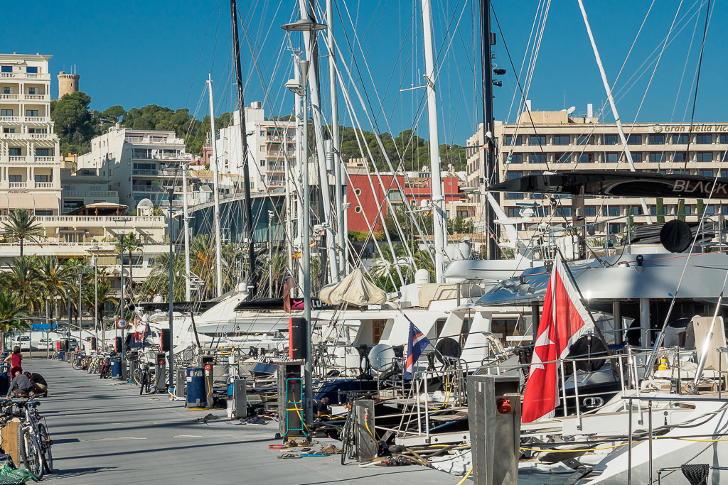Luxury yachts moored at a sunny marina with palm trees and city buildings in the background.