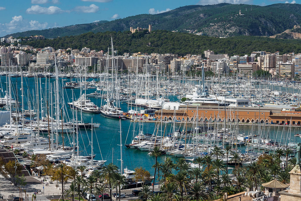 View of a busy marina filled with sailboats and yachts, with a city skyline and forested hills in the background.
