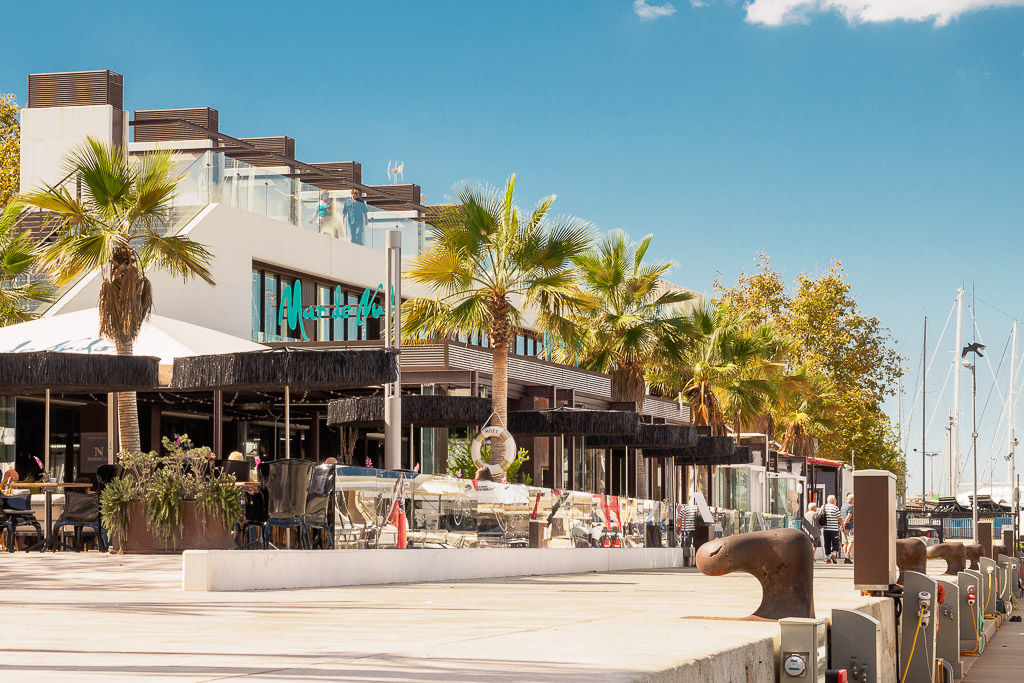 Modern waterfront restaurant with palm trees and outdoor seating along a sunny marina promenade.