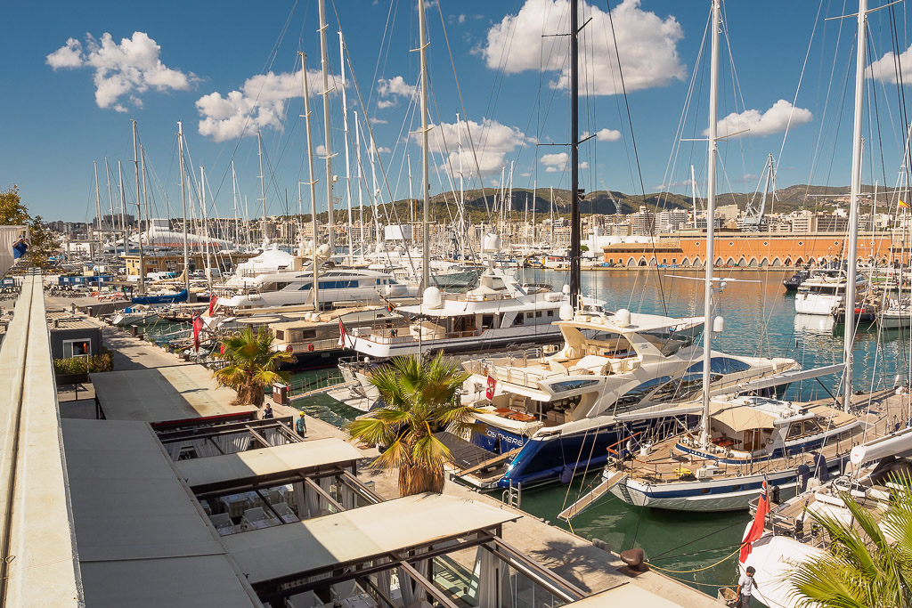 Luxury yachts docked in a sunny marina with palm trees and waterfront buildings in the background.