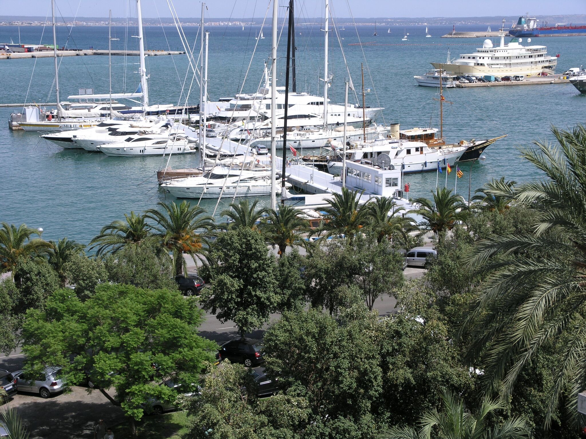 Several luxury yachts and sailboats are docked in a marina surrounded by palm trees and clear blue water.