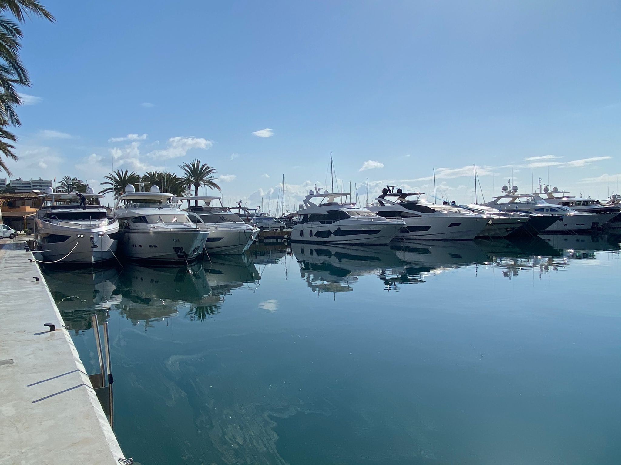 Puerto Portals