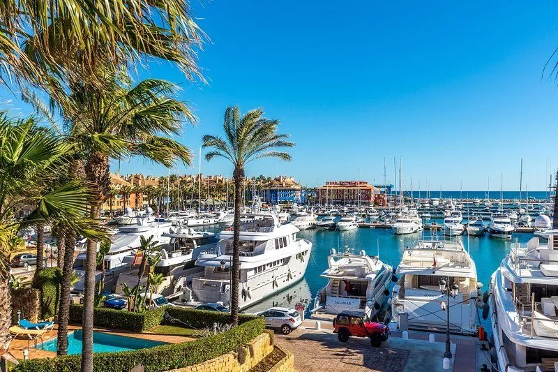 A vibrant overview of a sunny marina with numerous yachts, palm trees, and clear blue skies in the background.